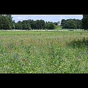 Click on thumbnail to enlarge DSC_3626