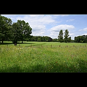 Click on thumbnail to enlarge DSC_3638