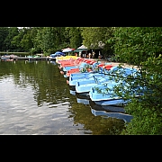 Click on thumbnail to enlarge DSC_3650