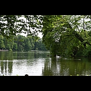 Click on thumbnail to enlarge DSC_3663