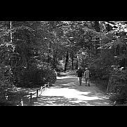 Click on thumbnail to enlarge DSC_3670