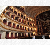 DSC_0131_20180622_9479