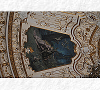 DSC_0135_20180622_9483