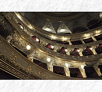 DSC_0137_20180622_9485