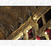 DSC_0146_20180622_9494