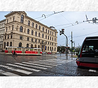 DSC_0133_20180902_9734