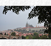 DSC_0141_20180902_9742