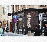 DSC_0176_20180903_9777