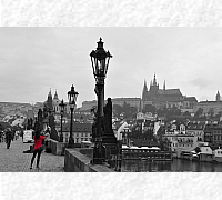 DSC_0181_20180903_9782