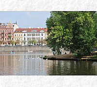 DSC_0280_20180903_9881