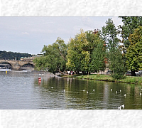 DSC_0294_20180903_9895