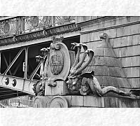 DSC_0425_20180903_10026