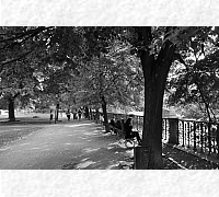 DSC_0461_20180903_10062