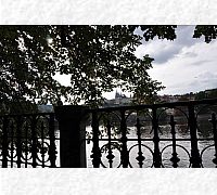 DSC_0462_20180903_10063